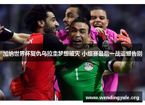 加纳世界杯复仇乌拉圭梦想破灭 小组赛最后一战遗憾告别