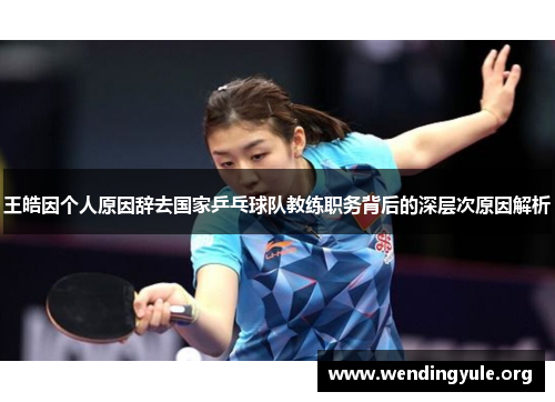 王皓因个人原因辞去国家乒乓球队教练职务背后的深层次原因解析