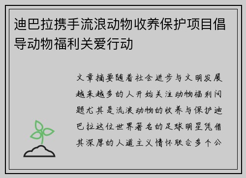 迪巴拉携手流浪动物收养保护项目倡导动物福利关爱行动