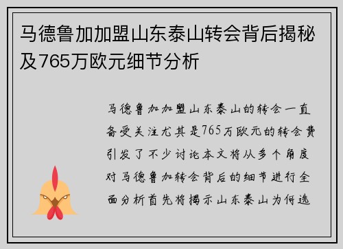 马德鲁加加盟山东泰山转会背后揭秘及765万欧元细节分析