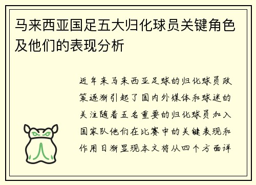 马来西亚国足五大归化球员关键角色及他们的表现分析