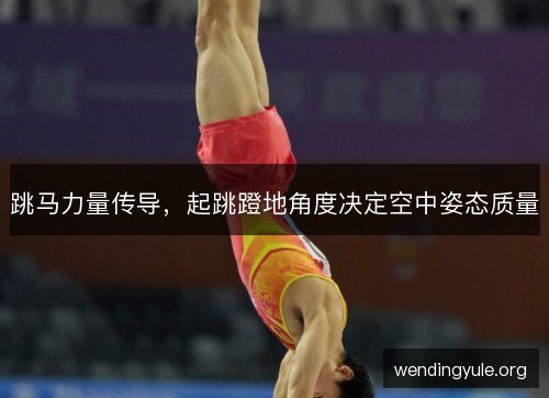 跳马力量传导，起跳蹬地角度决定空中姿态质量